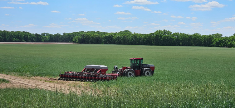 Sylvester farming