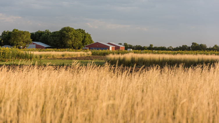 The Land Institute