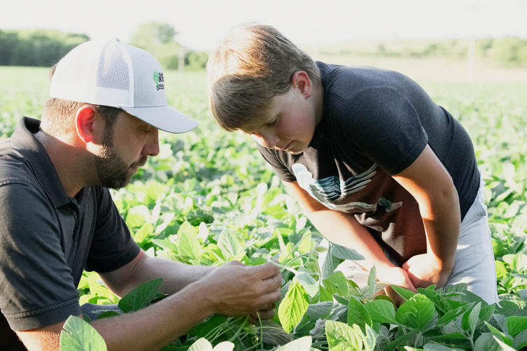 Daniel Anderes checking soybeans with his son