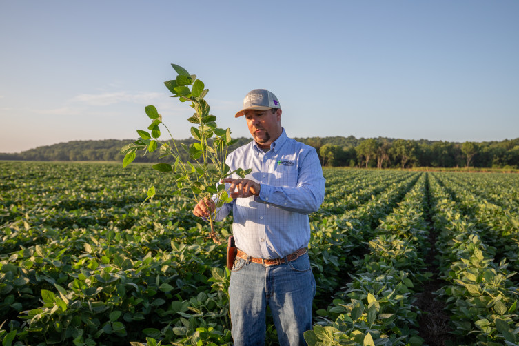Ben Bellar inspecting a plant