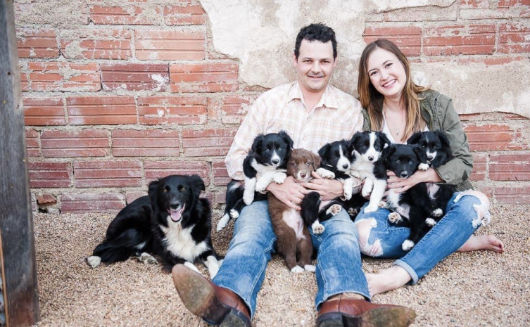 Zenger Family Farm - puppies