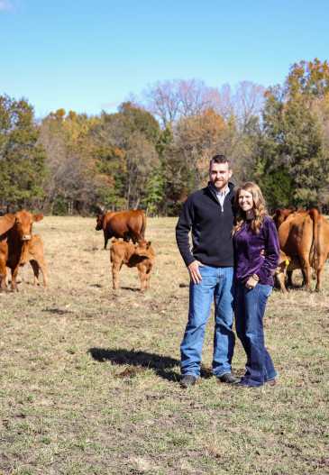 Kansas ranch cattle - Brandi Buzzard