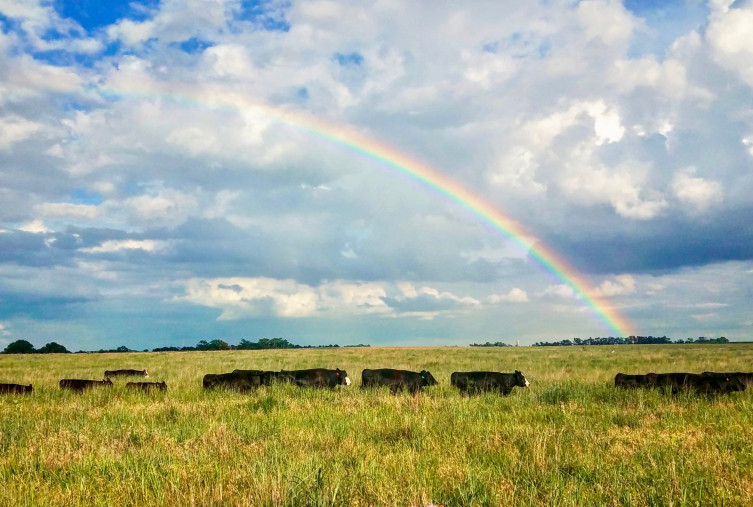 Roth Farm and Ranch in Kansas - Beautiful Kansas