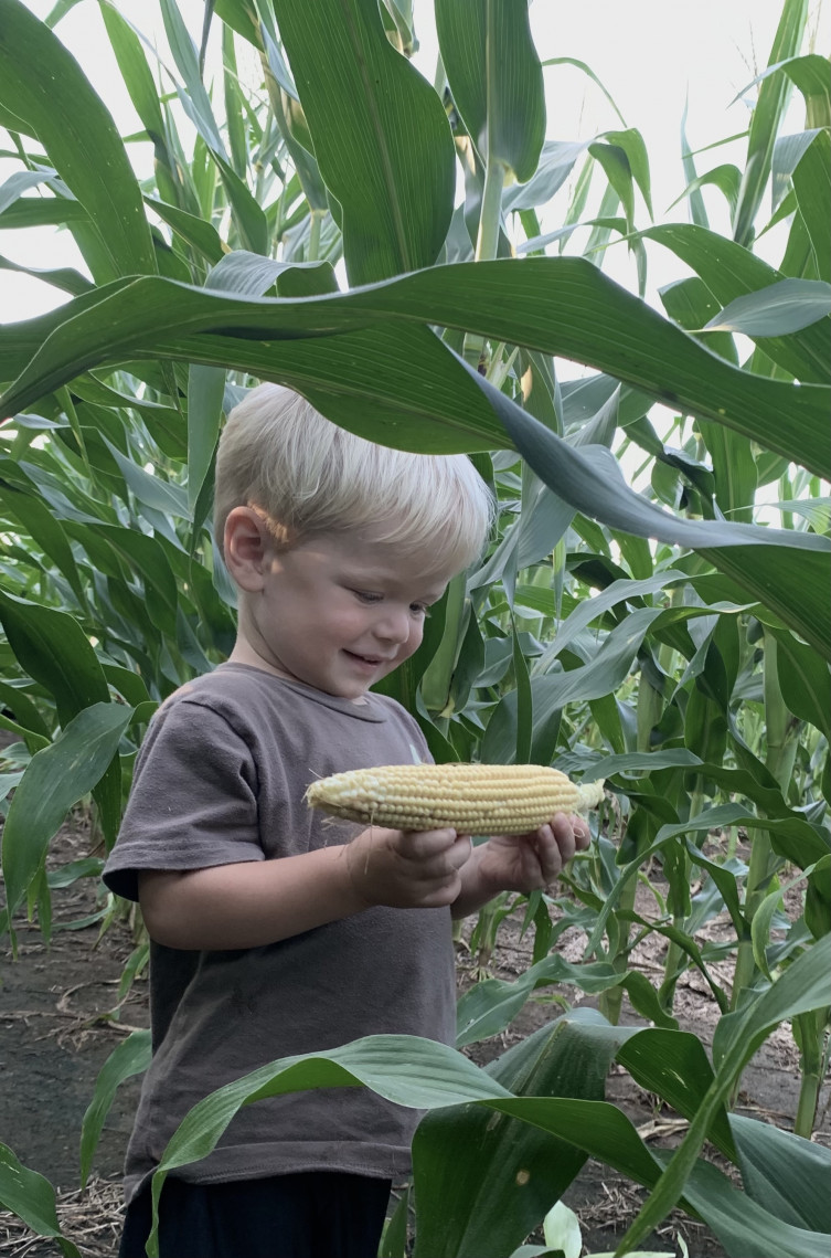 McVey Family Farm - Child in Corn