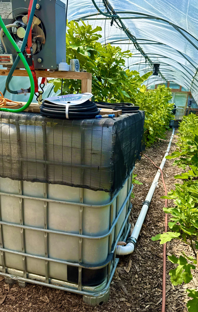 Flint Hills Figs off-grid greenhouse