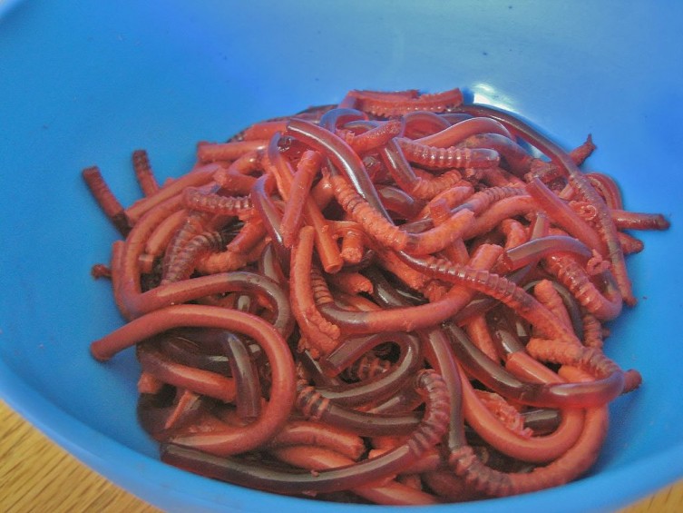 Bowl of Worms, recipe and photo by Instructables.