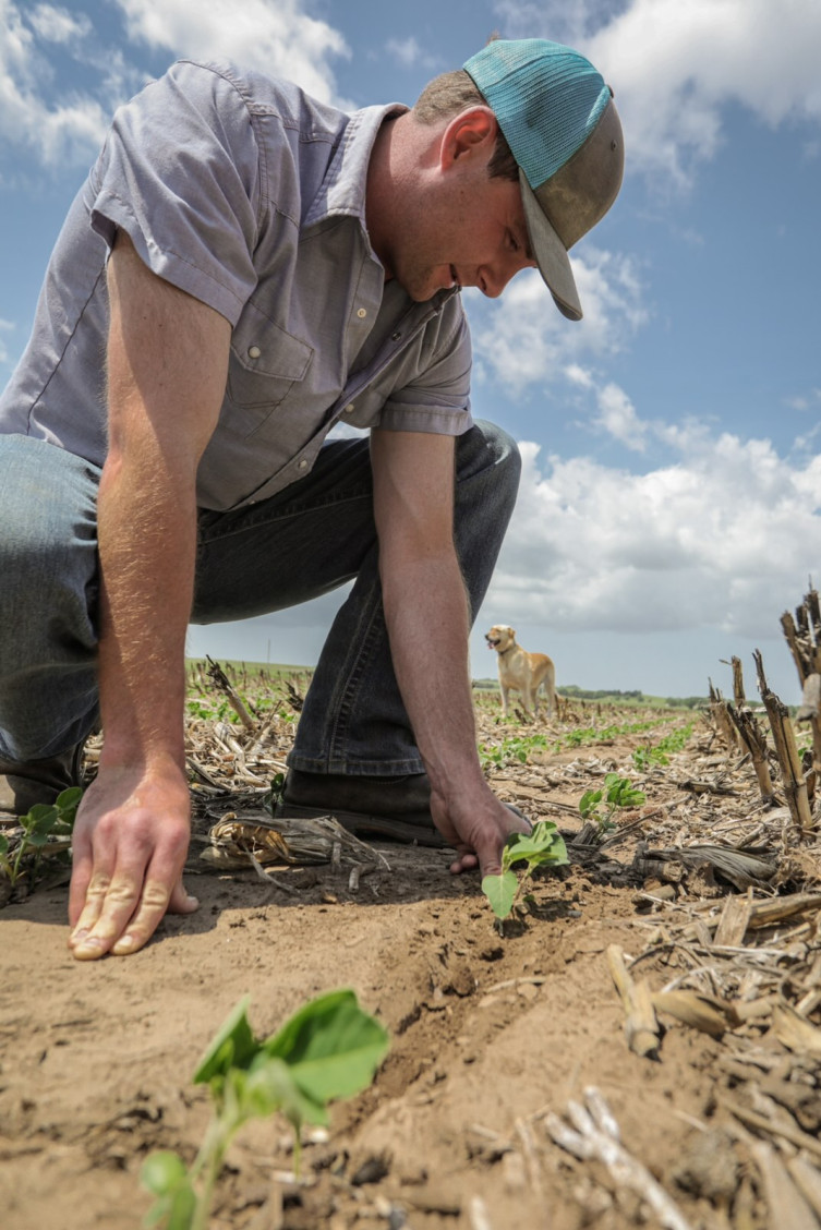 Hayden Heigele checking crop