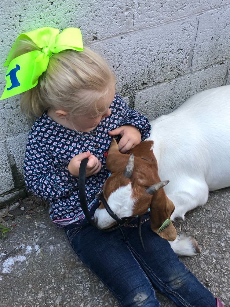 Things farm kids learn - caring for animals