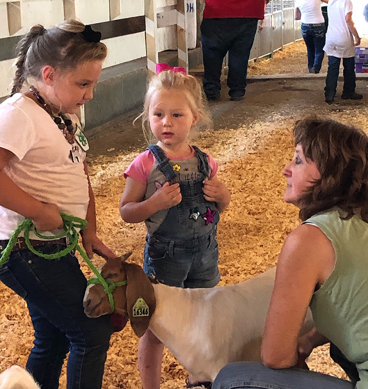 Lessons from Farm Mothers and their Babies - Uwharrie Farm