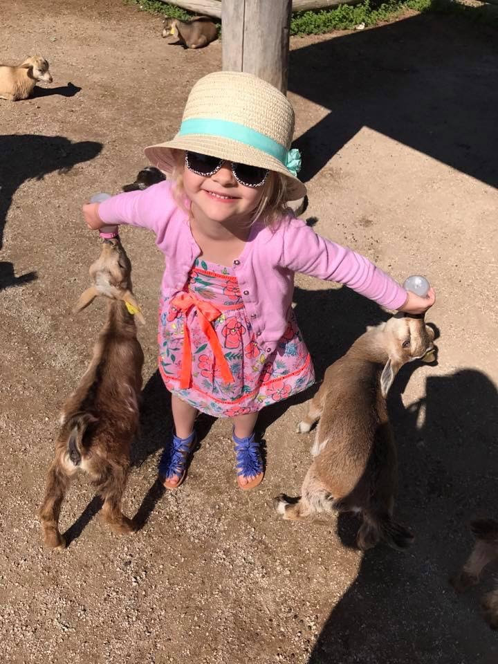 Feeding goats at the Deanna Rose Children's Farmstead