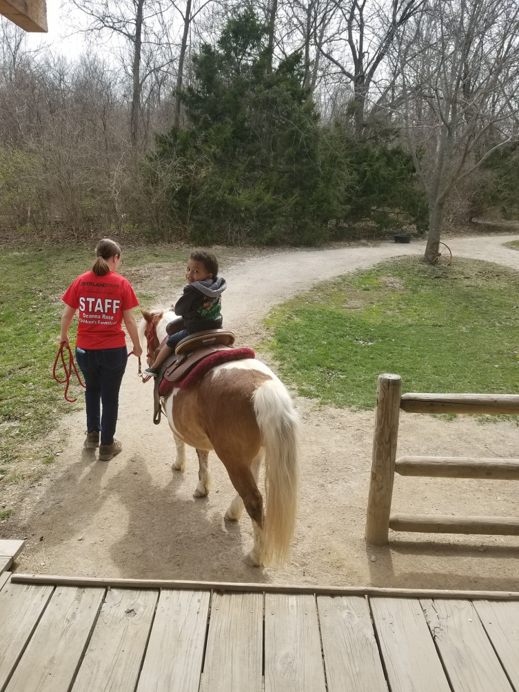 Pony rides at the Deanna Rose Children's Farmstead