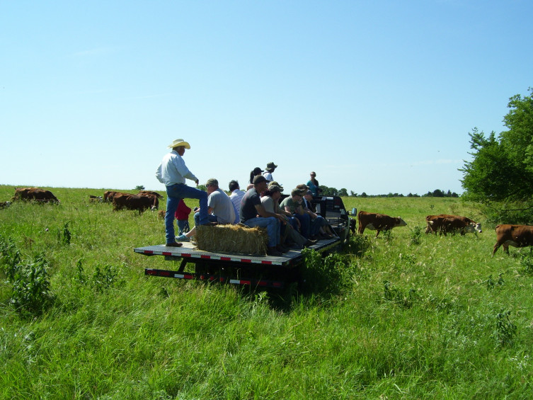 Veterans at the SAVE Farm in Manhattan learning about cattle and pasture