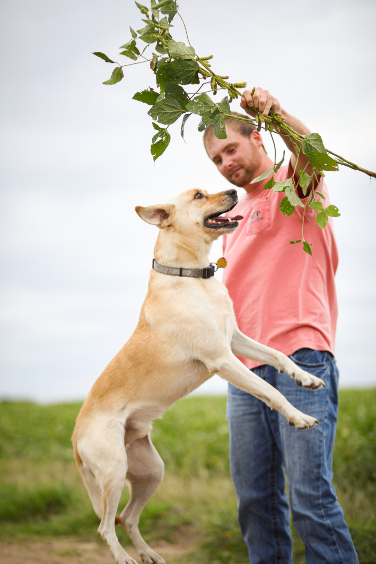 Magnum the Kansas farm dog jumping