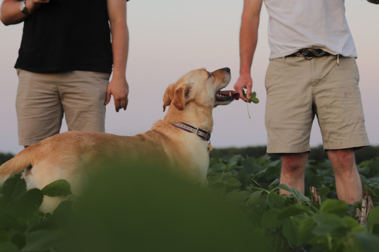 Magnum the Kansas farm dog treats