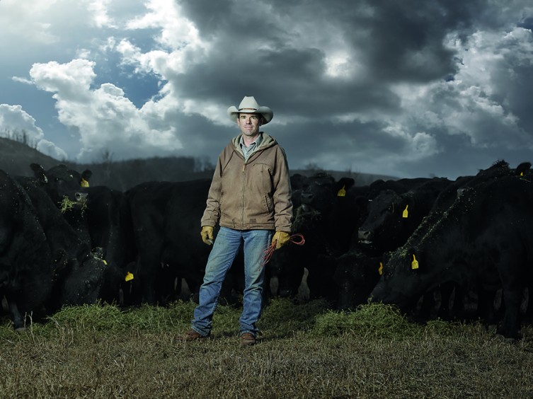 rancher with cattle