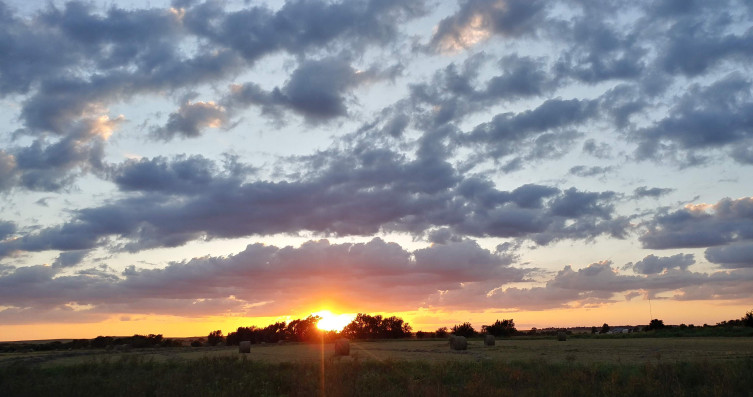 Beautiful Kansas sunset at OAT Livestock