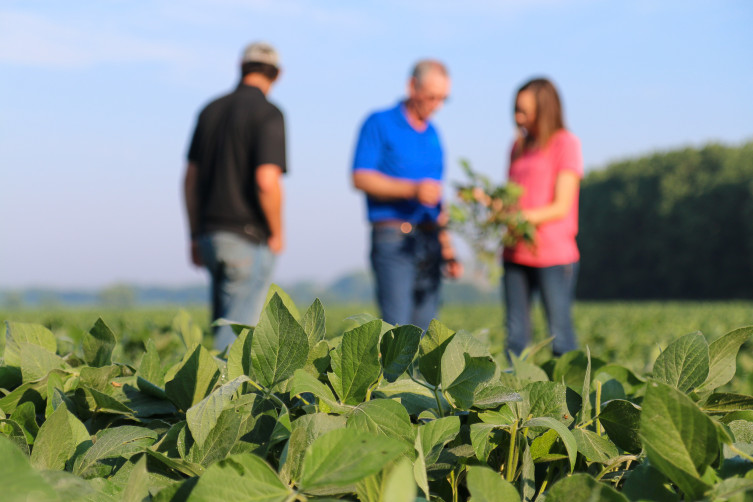 Rezac Family Kansas Soybean Farmers