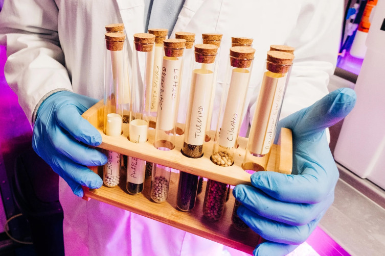 Seeds at Leafy Green Farms