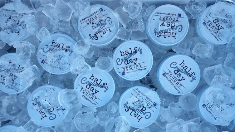 Half Day Creamery yogurt on ice