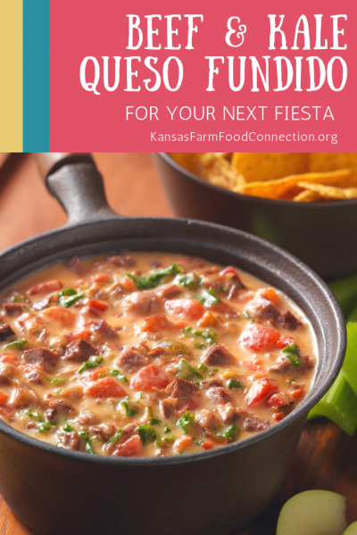 Hearty and Delicious, this dip melds beef and cheese with a perfect hint of veggies. It&#039;s sure to be a crowd pleaser.