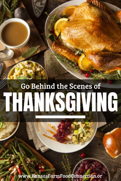 Thanksgiving farm to fork for Pinterest