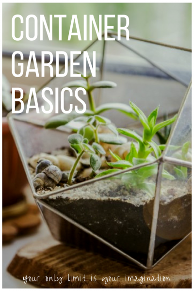 Container gardening basics