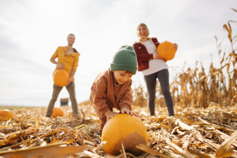 Pumpkin patches and orchards in Kansas 2022