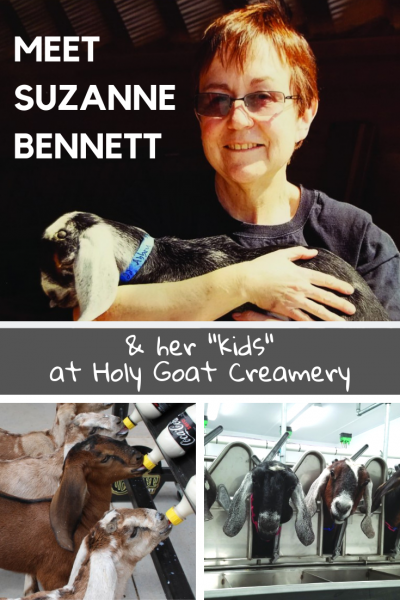 Goat cheese creamery in Kansas