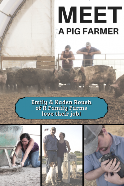 R Family Farms Kansas Pig Farmers for Pinterest