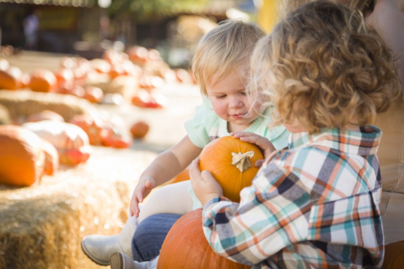 Children at a Pumpkin Patch