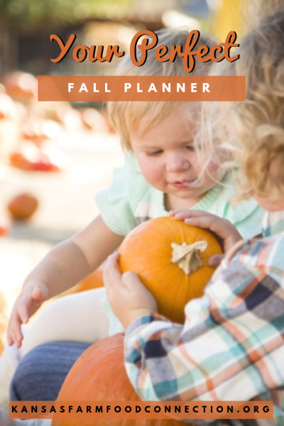 Plan a fun fall