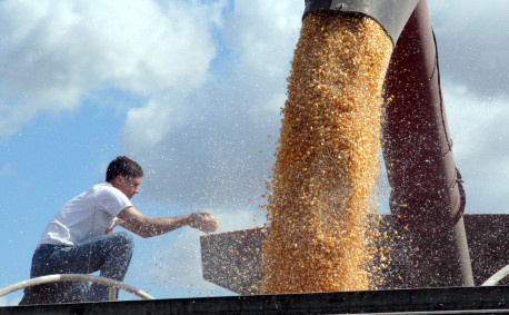 Agriculture Exports