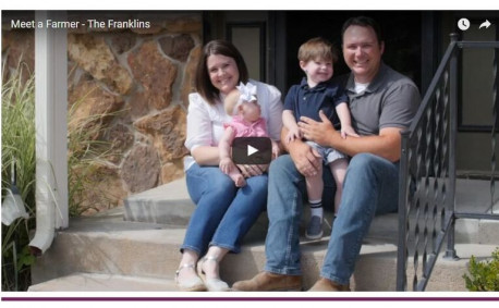 Meet the Franklins