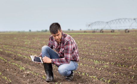 Farmer checking soil