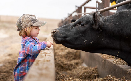 The Kraffts Kansas Cattle Ranchers