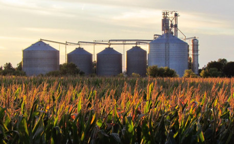 grain harvest on farm storage