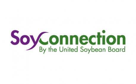 Soy Connection