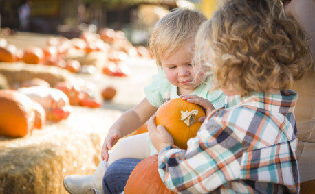 Children at a Pumpkin Patch