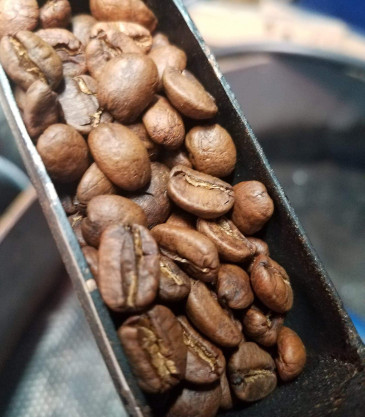 Legacy Farms Coffee - roasted coffee beans